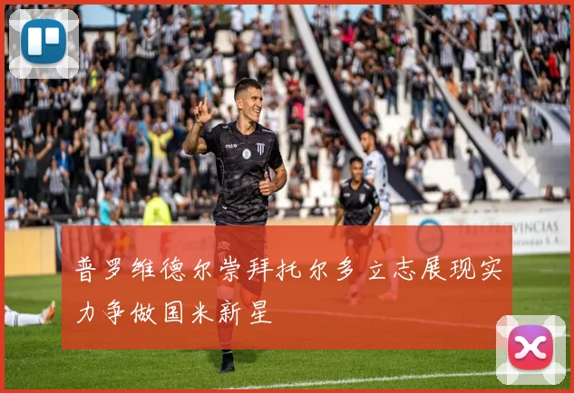 普罗维德尔崇拜托尔多立志展现实力争做国米新星