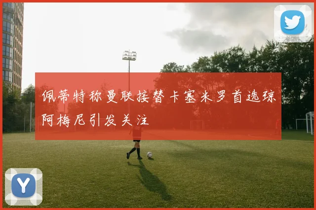佩蒂特称曼联接替卡塞米罗首选琼阿梅尼引发关注