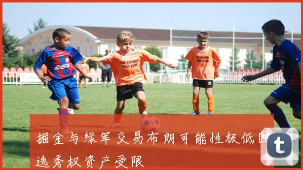 掘金与绿军交易布朗可能性极低因选秀权资产受限
