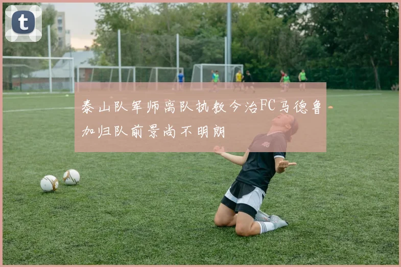 泰山队军师离队执教今治FC马德鲁加归队前景尚不明朗